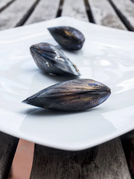 Tre cozze da mare su un piatto di ceramica bianca . — Foto Stock