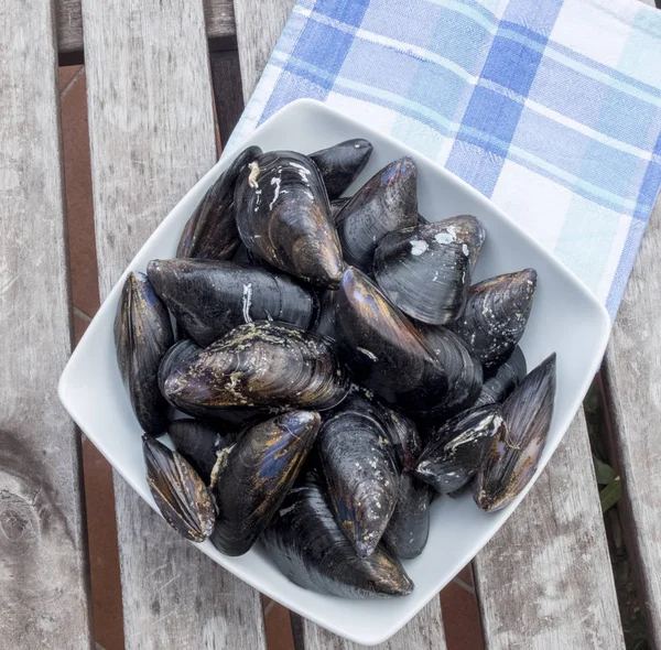Beyaz seramik kase dinlenme içinde taze ve çiğ deniz midye