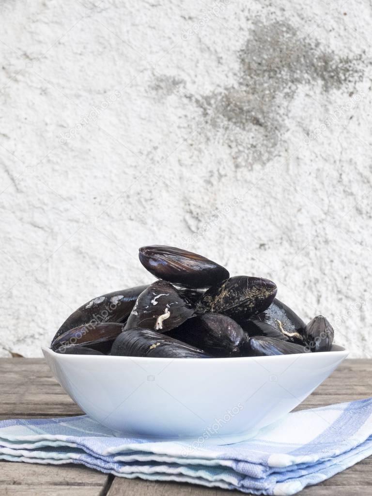Fresh and raw sea mussels in white ceramic bowl resting on cotto