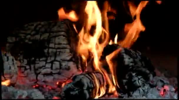 Wood burning in a refractory brick oven. Burning braids in the background. — Stock Video