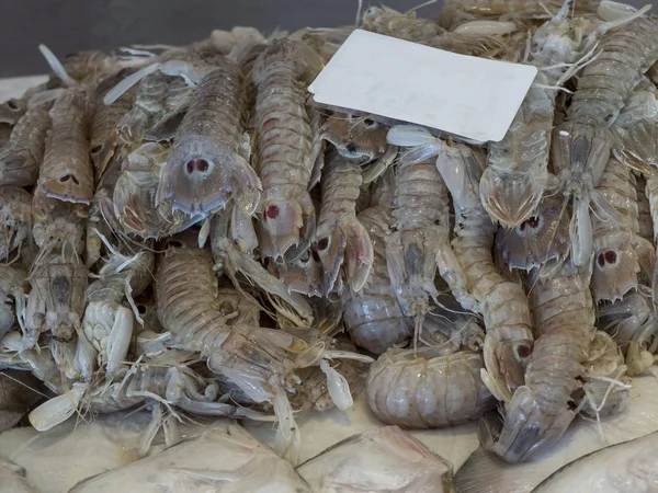 mantis shrimps (cicadas) close-up on the bench of the fish market.