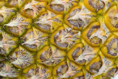 yakın göz ananas izole