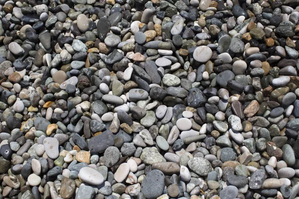Gri deniz çakıl taşlarının doğa arkaplanı