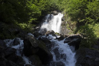 Şelale, akışı hızlı süt akışı güzel duvar kağıdı. Abhazya kayalık dağ nehir orman. Şelale süt