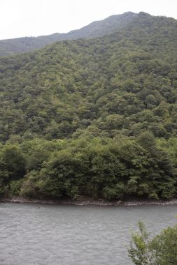 Güzel bir yaz, Abhazya nehirde dağ manzarası