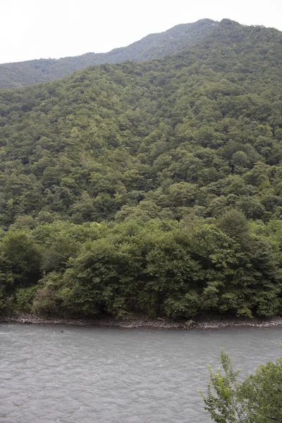 Güzel bir yaz, Abhazya nehirde dağ manzarası
