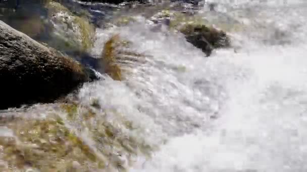 Agua corriendo a través de rocas — Vídeo de stock