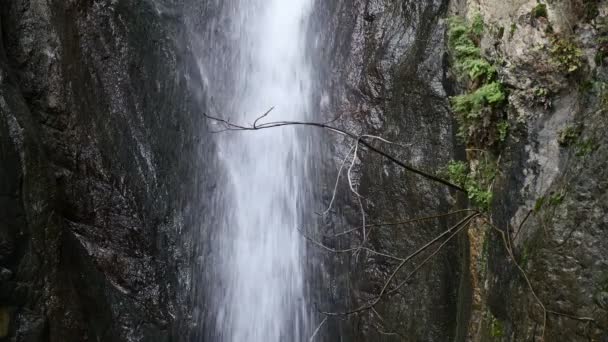 Agua que fluye a través de rocas — Vídeos de Stock