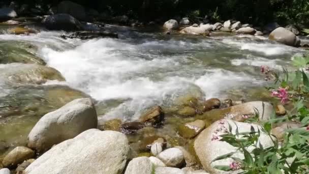 Река, протекающая сквозь камни — стоковое видео