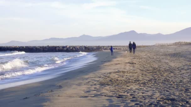 Familie wandelen op een strand — Stockvideo