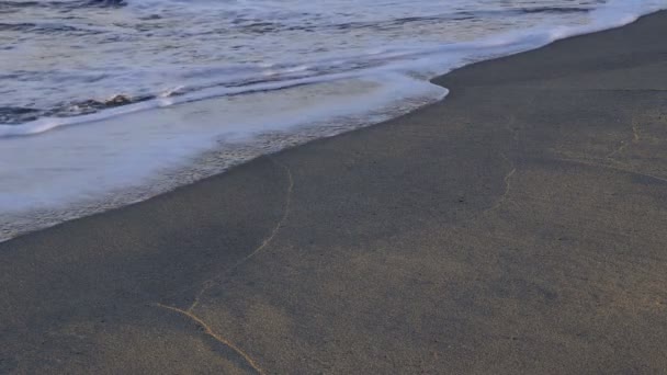 Mjuk våg på en sandstrand — Stockvideo