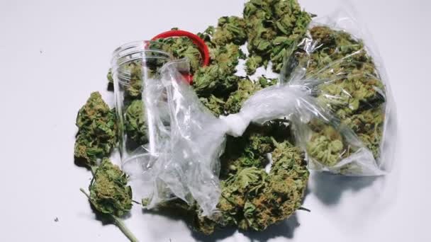 Marijuana weed medicinalväxt — Stockvideo