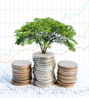 Çift pozlama sikke ve büyük yeşil bitki yetiştirme.