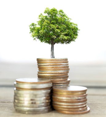 Selective focus of coins and big green plant growing. clipart