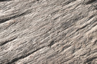 Ahşap doku arka plan, doğal Desen Tasarım sanat için iş ya da metin ekleme.