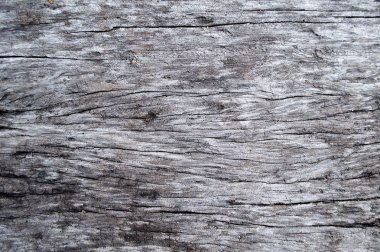 Ahşap doku arka plan, doğal Desen Tasarım sanat için iş ya da metin ekleme.