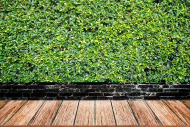 Boş ahşap masa çim duvar arka plan üzerinde en iyi.