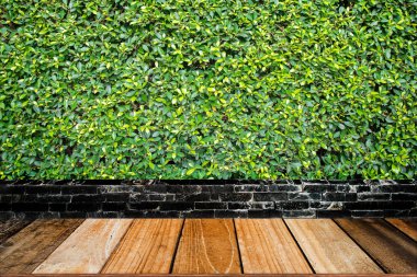 Boş ahşap masa çim duvar arka plan üzerinde en iyi.