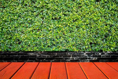 Boş ahşap masa çim duvar arka plan üzerinde en iyi.