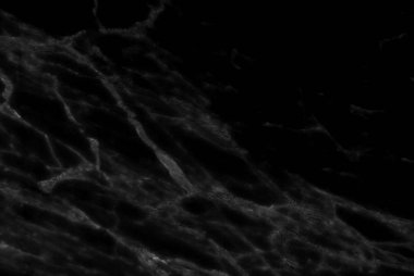 Siyah ve koyu Mermer doku (zemin veya arka plan, desen ve de kullanılabilir mimari levha, seramik zemin ve duvar karoları mermer efekti oluşturmak)