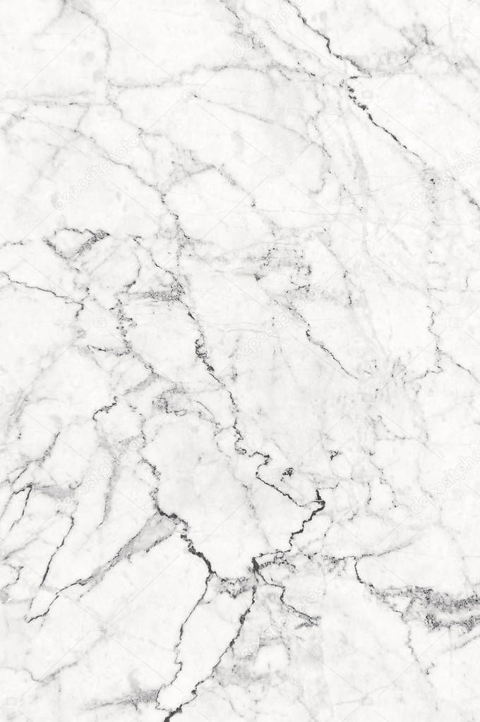 White marble texture is a white base with subtle grey veins