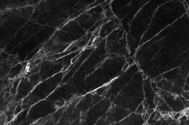 Zıt veining dolu Siyah Mermer doku 