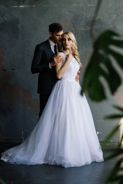 Мила Весільна Пара Інтер Єрі Класичної Студії Вони Цілуються Обіймаються — стокове фото