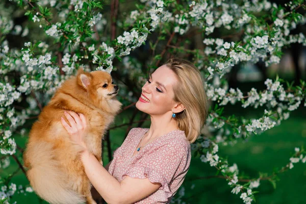 Attractive young woman holding dog spitz outside and smiling at camera, walking in the park. Concept about friendship between people and animals.