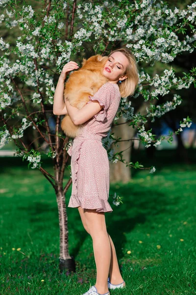 Aantrekkelijke Jonge Vrouw Met Hondenspitz Buiten Glimlachend Naar Camera Wandelend — Stockfoto