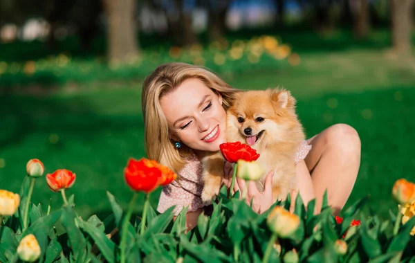 Çekici genç bir kadın köpek salyası tutuyor ve kameraya gülümsüyor, parkta yürüyor. İnsanlar ve hayvanlar arasındaki dostluk kavramı.