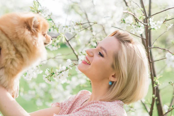 Close Portret Van Glimlachende Jonge Aantrekkelijke Vrouw Omarmen Pomeranian Spitz — Stockfoto