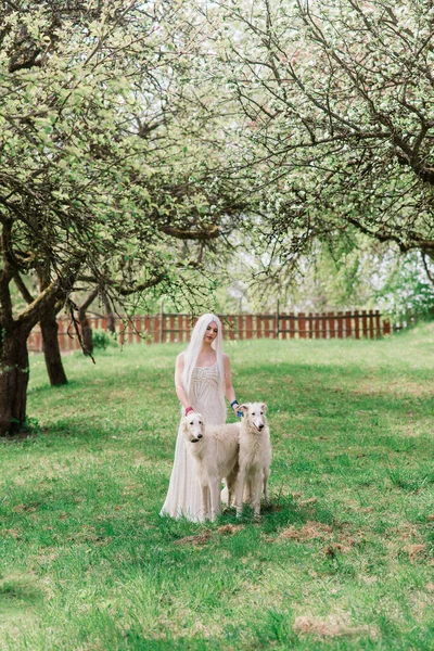 Beyaz Elbiseli Sarışın Kadın Bahçede Rus Köpeğiyle Oynuyordu — Stok fotoğraf