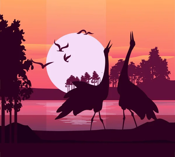 Силуэт заката птиц — стоковый вектор