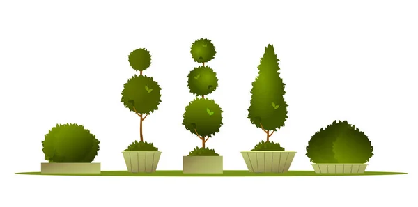 Set garden topiary — Stock Vector