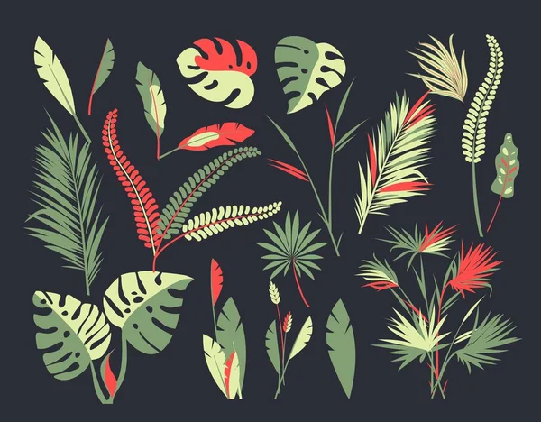 Ensemble de feuilles tropicales — Image vectorielle