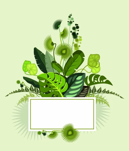 Exotic tropical leaves — Stock Vector