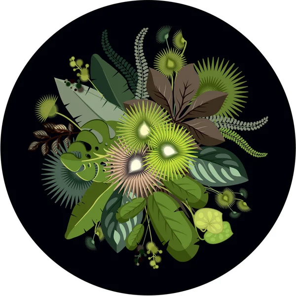 Ilustración botánica de hojas exóticas — Archivo Imágenes Vectoriales