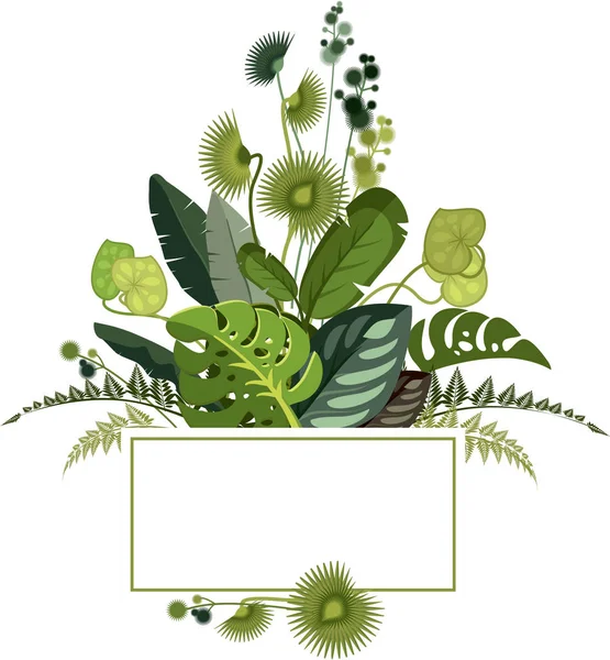 Botanische Illustration exotischer Blätter — Stockvektor