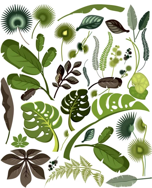 Set of tropical leaves — Stock Vector