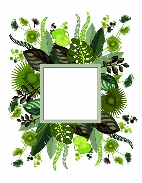 Botanical illustration of exotic leaves — Stock Vector