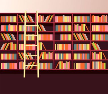 Kütüphane kitap rafı duvar