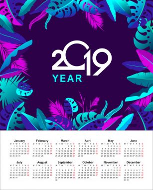 tropikal takvim 2019 yıl