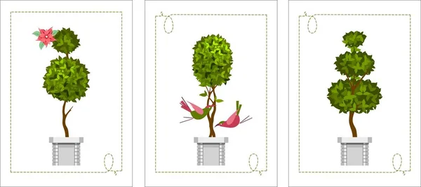 Set topiary kaarten — Stockvector