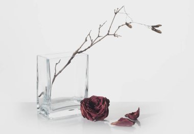 Beyaz arka plan üzerinde dal ile natürmort vazo