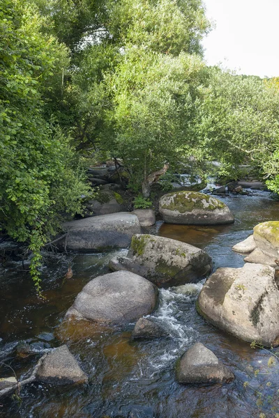 Río Aven en Pont-Aven en Bretaña —  Fotos de Stock