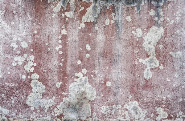 Kleurrijke muur detail — Stockfoto