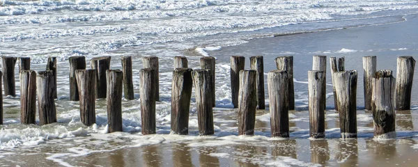 Paisaje costero con pilares de madera — Foto de Stock