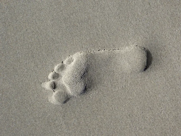 Voetafdruk in het zand — Stockfoto