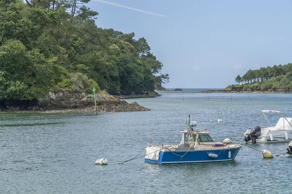 Belon River in Brittany — Stock Photo, Image