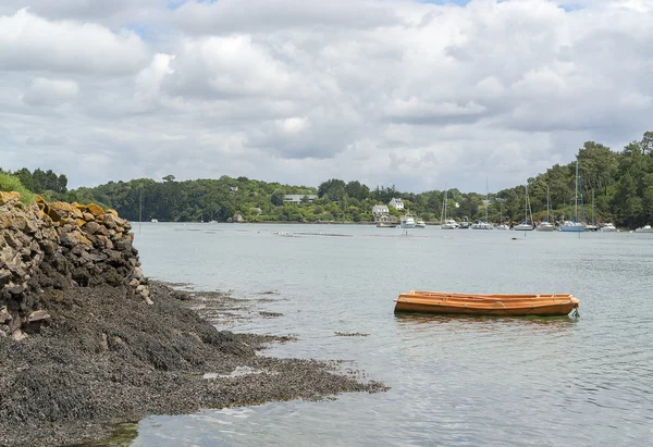 Rivière Belon en Bretagne — Photo